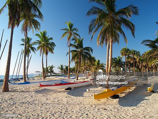 fort lauderdale en la mañana#2 - fort lauderdale florida fotografías e imágenes de stock