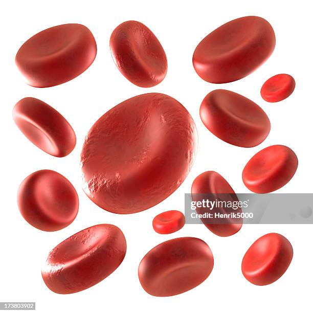 blood cells isolated on white - red blood cells stock pictures, royalty-free photos & images