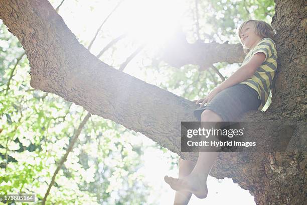 smiling boy sitting in tree - bare feet male tree stock pictures, royalty-free photos & images