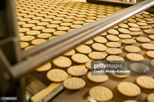 Freshly made biscuits on production line in food factory