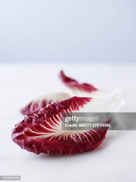 close up of radicchio leaf - radicchio stock pictures, royalty-free photos & images