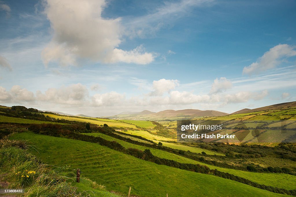 Rolling Green Hills