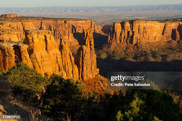 rock formations in desert valley - colorado national monument stockfoto's en -beelden