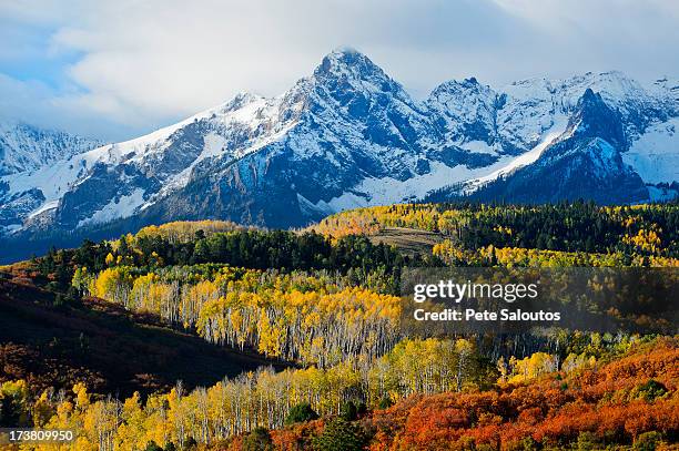 snowy mountain and trees in rural landscape - aspen tree stock pictures, royalty-free photos & images