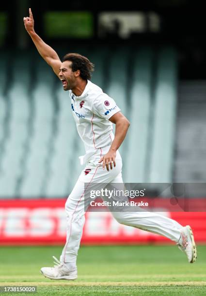 Wes Agar of the Redbacks celebrates the wicket of Kurtis Patterson of the Blues during the Sheffield Shield match between South Australia and New...