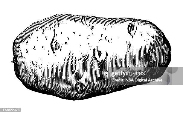 ilustraciones, imágenes clip art, dibujos animados e iconos de stock de patata - patatas preparadas