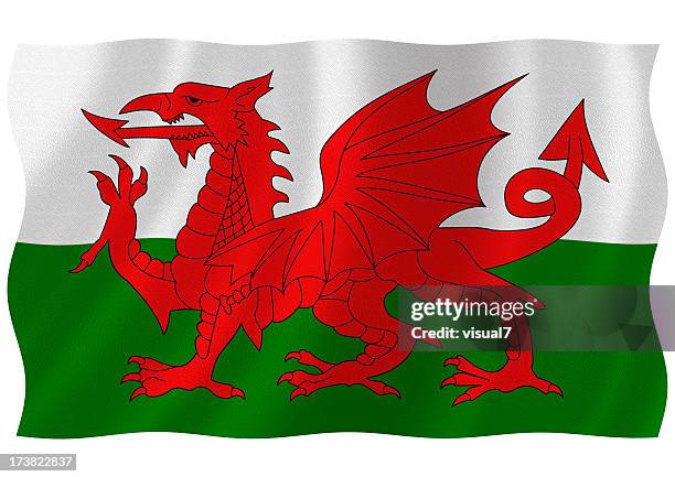 bandeira galesa - welsh flag - fotografias e filmes do acervo