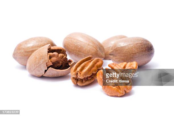 pecans in their shells - pecan nut stock pictures, royalty-free photos & images
