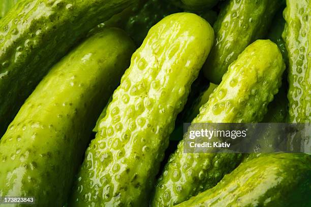 baby pickles - pickled stock pictures, royalty-free photos & images