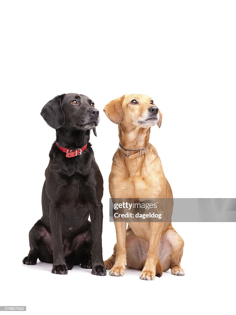 Annie and Jess