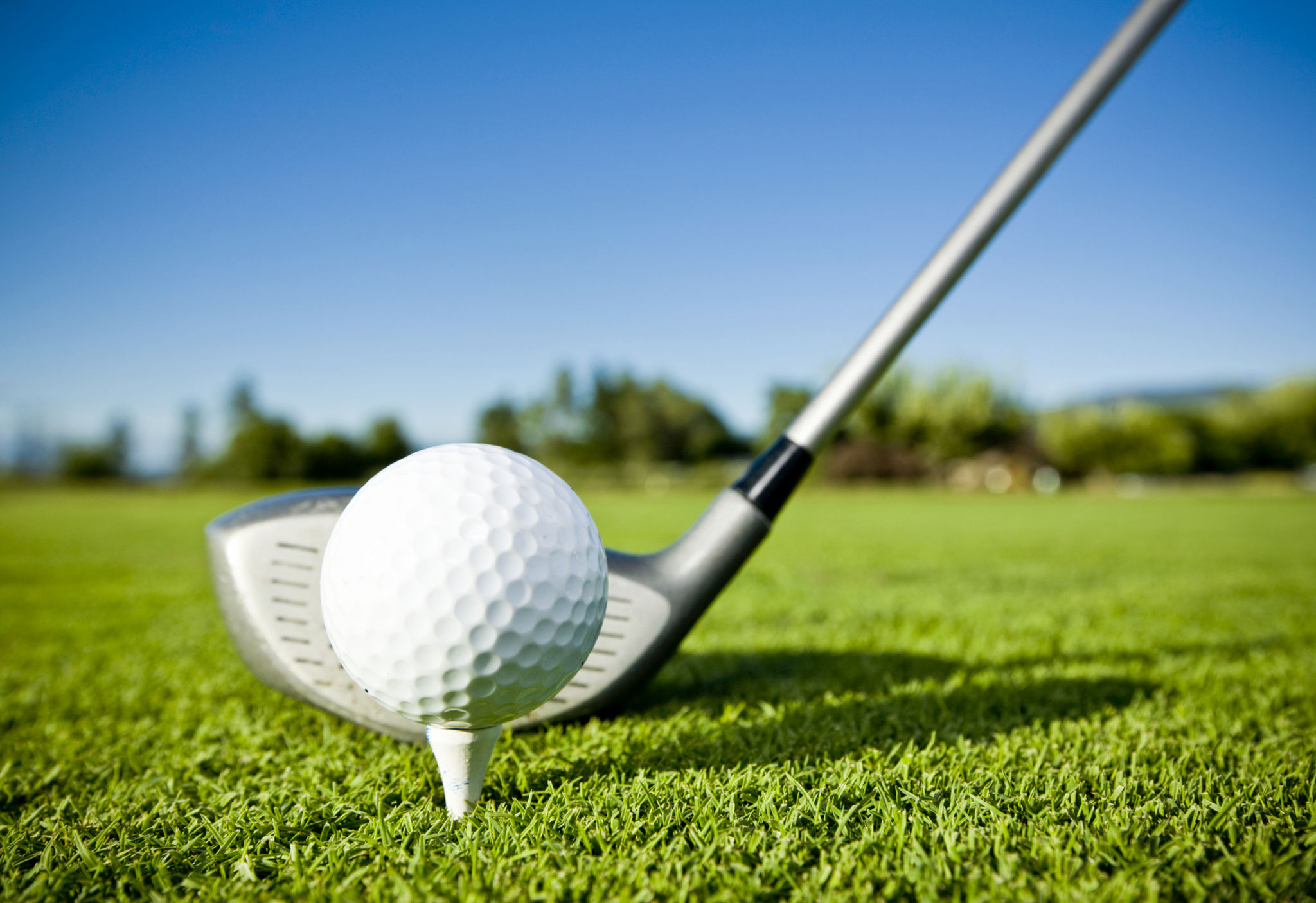 golf basics