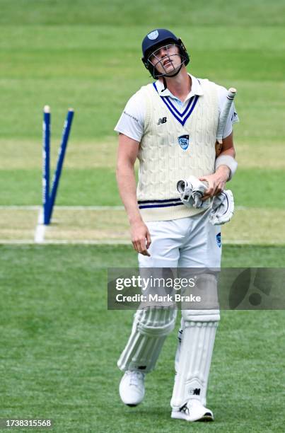 Jack Edwards of the Blues leaves the ground after getting out to Nathan McAndrew of the Redbacks bowled during the Sheffield Shield match between...