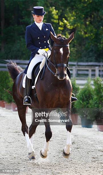 young dressage rider - dressage stock pictures, royalty-free photos & images