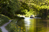 Canal barge moves through green summer dappled shade