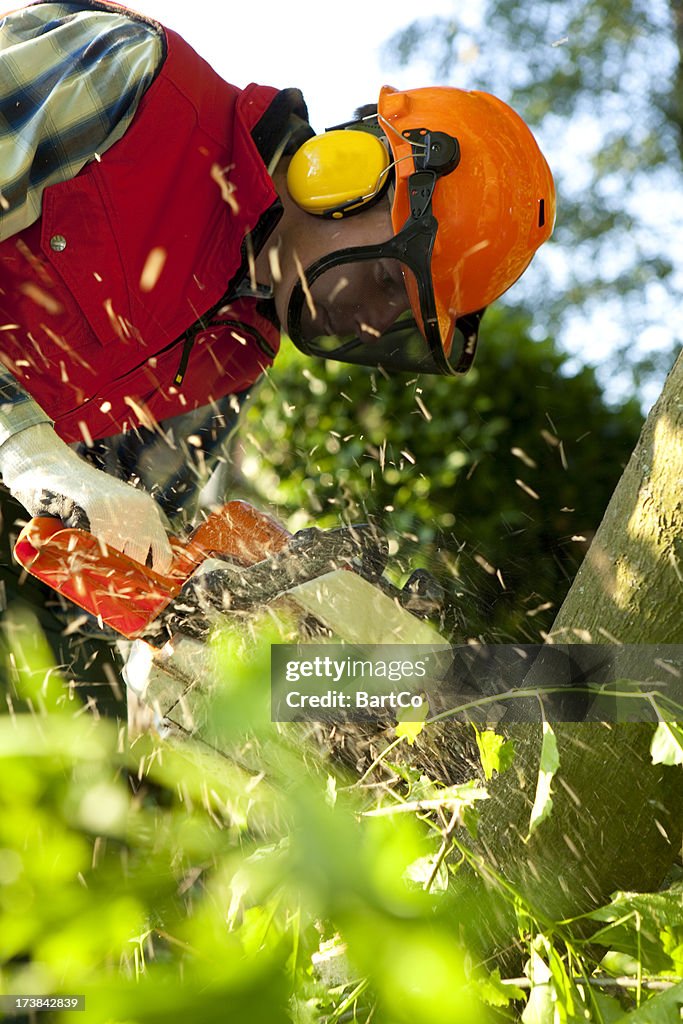 Safety first. Cutting wood with a chainsaw.