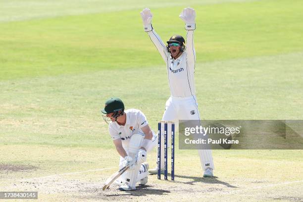 Josh Philippe of Western Australia appeals for the wicket of Jordan Silk of Tasmania during Day 2 of the Sheffield Shield match between Western...