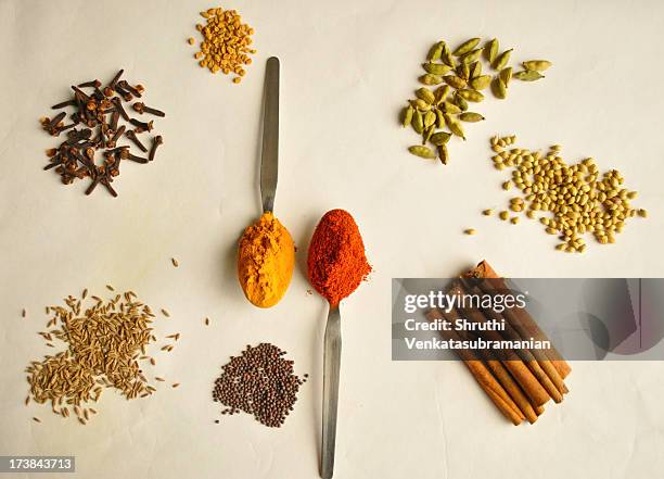 spice palette 1 - indian spices stockfoto's en -beelden