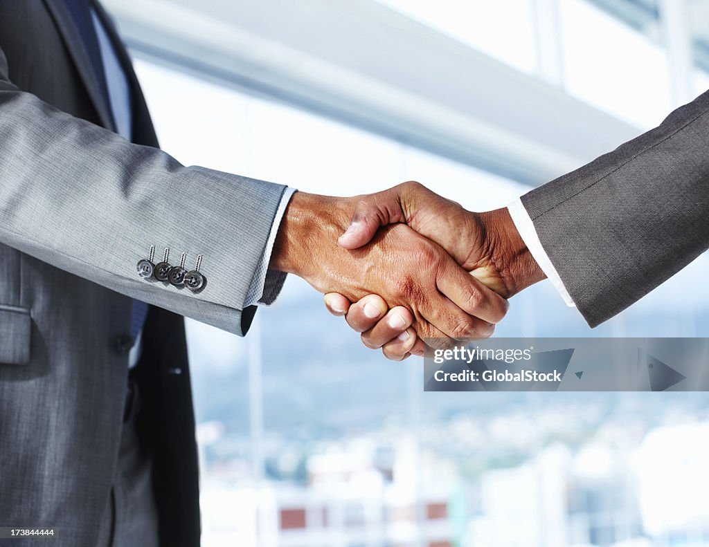 Two businessmen shaking hands