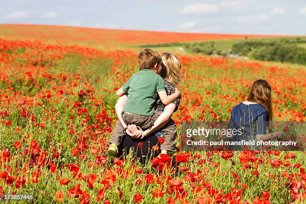 family walking through poppy field - poppy flower bildbanksfoton och bilder
