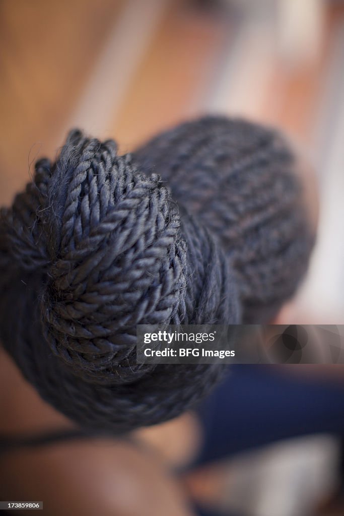 Rear view of a young women's Braids. Western Cape Province, South Africa