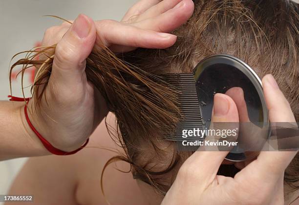 kopflaus-behandlung - man combing hair stock-fotos und bilder