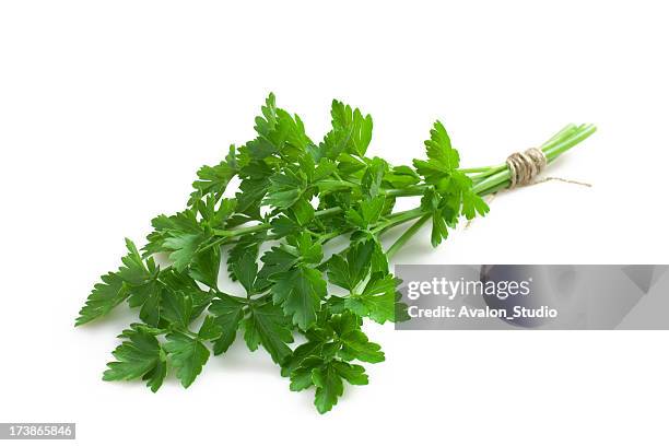 parsley - persilja bildbanksfoton och bilder