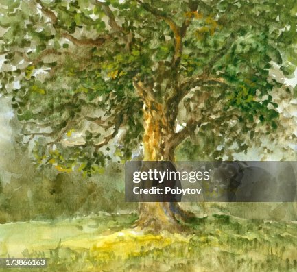 The Great Tree High-Res Vector Graphic - Getty Images