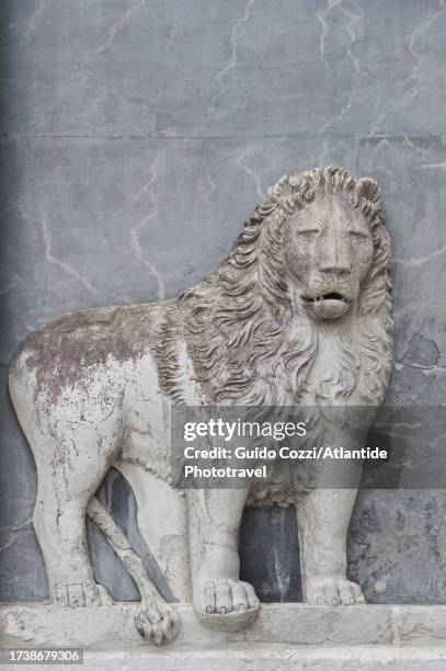 venezia venice, leone di san marco lion, symbol of the town - leone di san marco fotografías e imágenes de stock