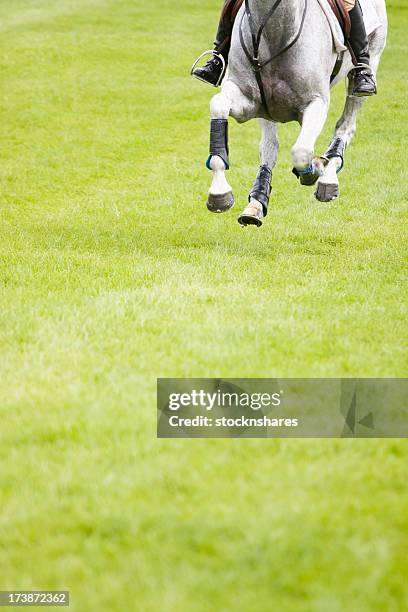 top a velocità - concorso completo di equitazione foto e immagini stock