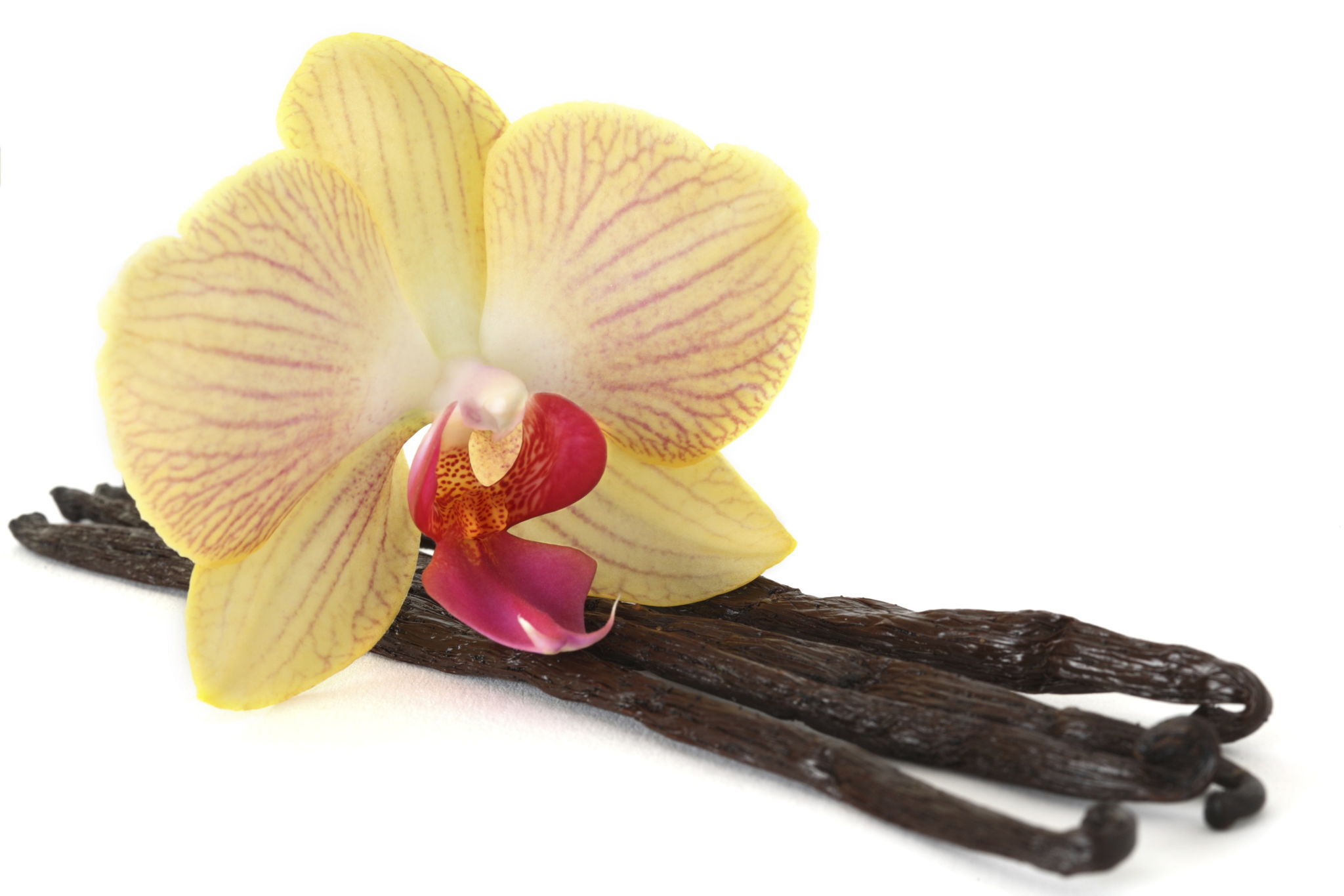 madagascar vanilla