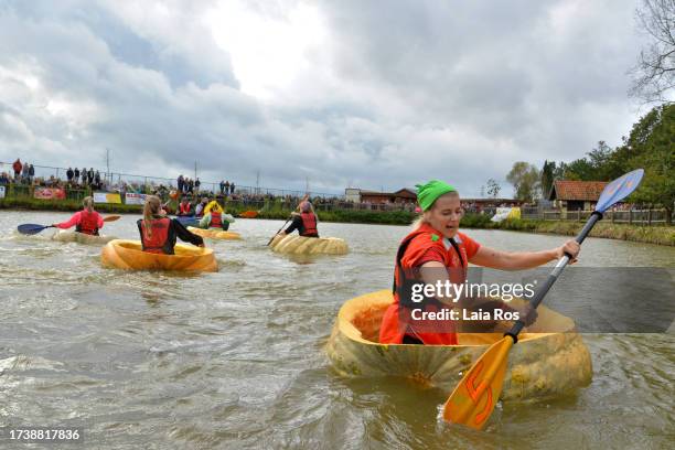 Participant of the Pumpkin regatta paddles to win the competition on October 22, 2023 in Kasterlee, Belgium. Since 2008, the Pumpkin Regatta has...