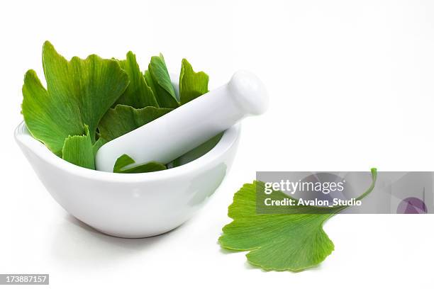 ginkgo biloba in a mortar on a white background - ginkgo stockfoto's en -beelden