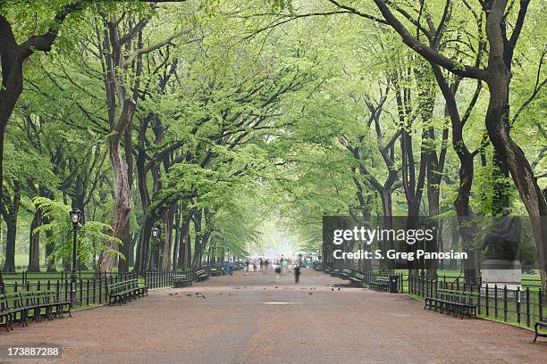 the mall a central park - the mall new york foto e immagini stock