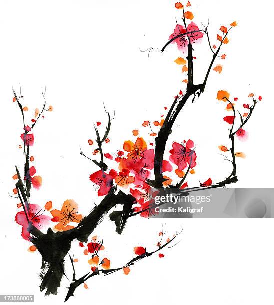 illustrazioni stock, clip art, cartoni animati e icone di tendenza di fiore di prugno - fiore di pesco