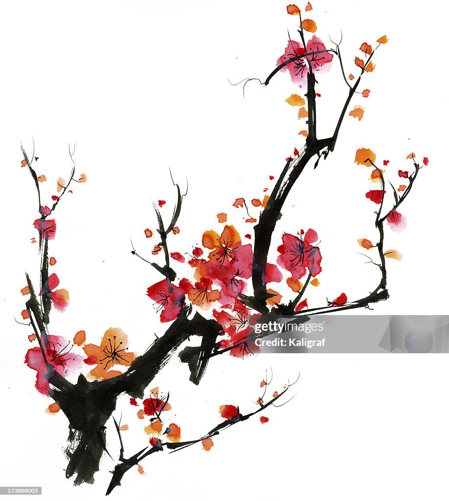 Plum Blossom