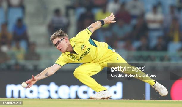 Adam Zampa of Australia fields the ball during the ICC Men's Cricket World Cup India 2023 between Australia and Sri Lanka at BRSABVE Cricket Stadium...