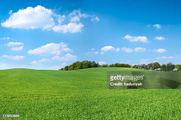 spring panorama 46mpix xxxxl - meadow, blue sky, clouds - hill stock pictures, royalty-free photos & images