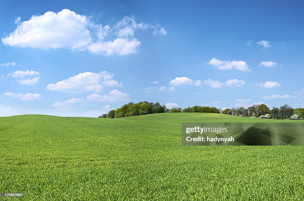 Spring panorama 46MPix XXXXL - meadow, blue sky, clouds