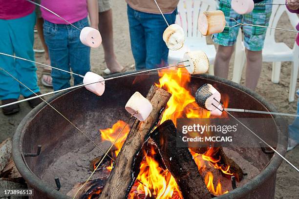 gebratene marshmallows - smore stock-fotos und bilder