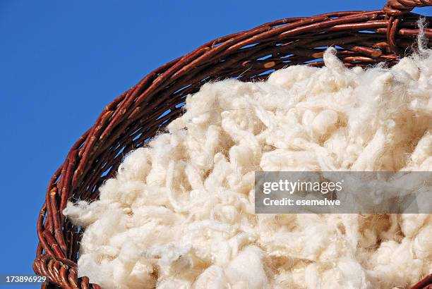 raw sheep wool - sheep shearing stock pictures, royalty-free photos & images