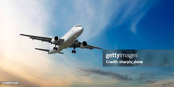 xxl jet airplane landing at dusk - landing stockfoto's en -beelden