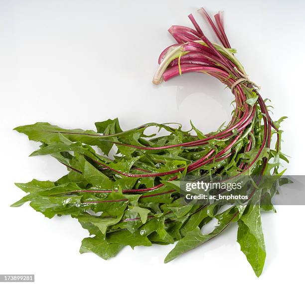 dandelion greens - dandelion greens stock pictures, royalty-free photos & images