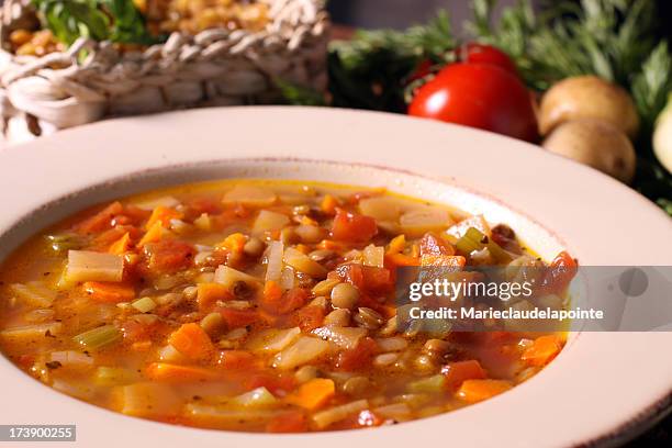 sopa de verduras - vegetable soup fotografías e imágenes de stock