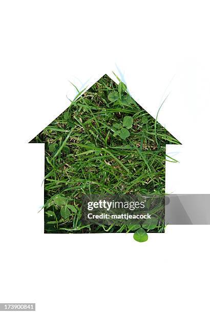 green housing - eco house stock pictures, royalty-free photos & images