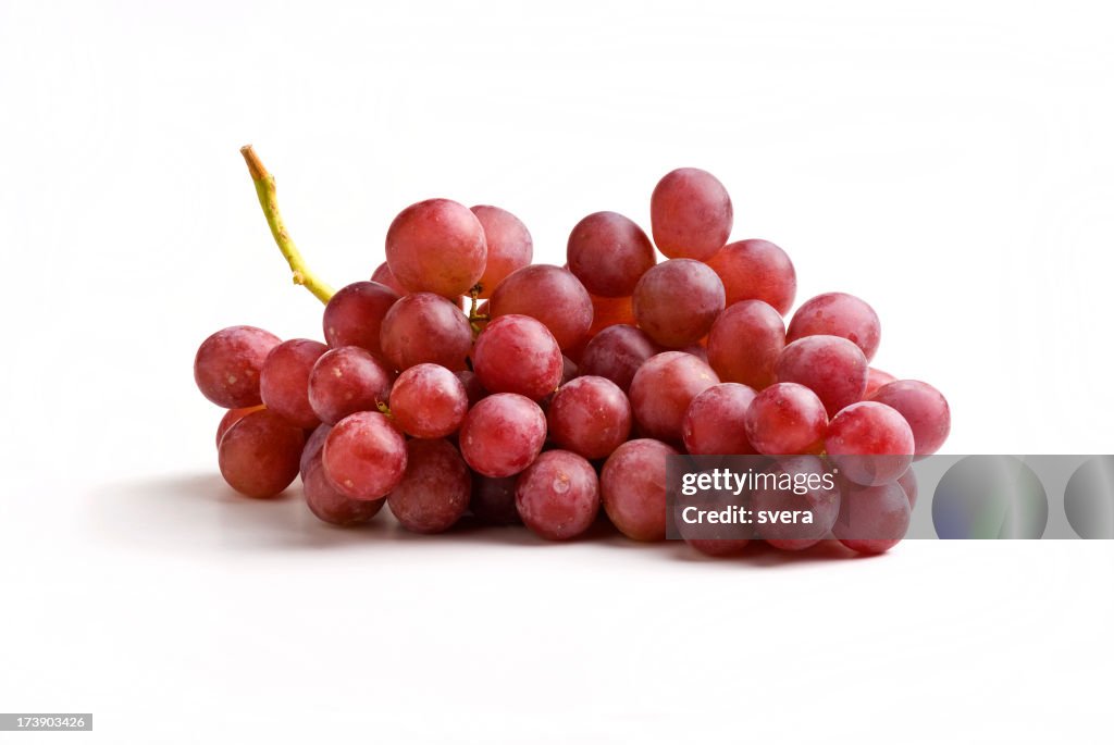 Red grapes on the vine on a white background