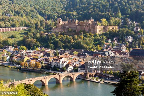 view over the historic city of heidelberg with castle on the neckar river - heidelberg castle stock pictures, royalty-free photos & images