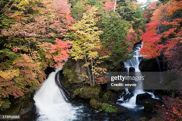 cascade du japon - préfecture de fukui photos et images de collection