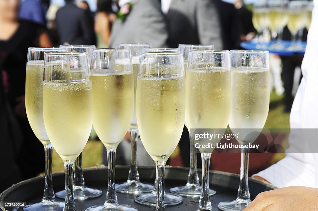 Several glasses full of champagne on a tray