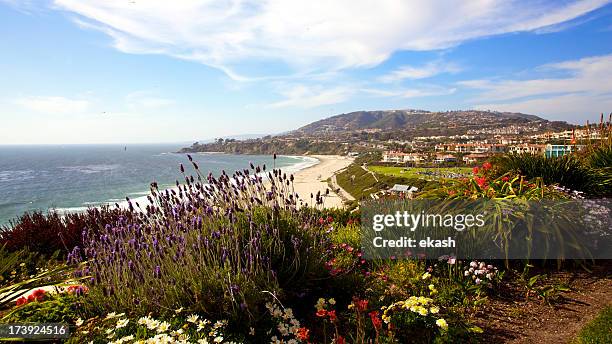 costa del sur de california - california meridionale fotografías e imágenes de stock