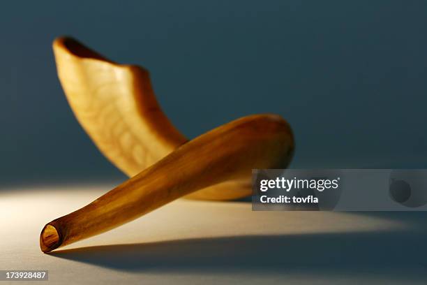 shofar - schofar stock-fotos und bilder